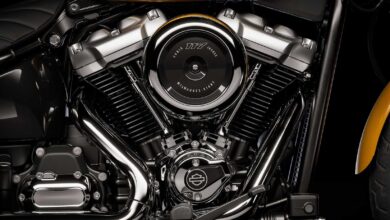 The Harley That Costs Less Than You Think Is The Street Bob