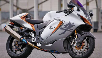 Suzuki Hayabusa – Hayabusa the Beast on the Road