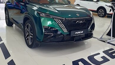 Dongfeng Mage 2025 Review: Bold and balanced